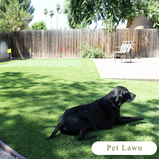 Pet lawn